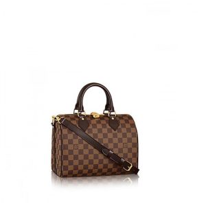 Louis Vuitton Damier SPEEDY 25 N41181