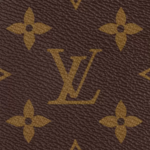 Louis Vuitton M44840 Multi-Pochette Accessoires