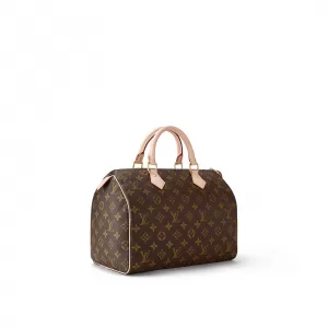 Louis Vuitton Speedy 30 M41108