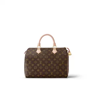 Louis Vuitton Speedy 30 M41108